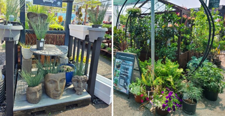 This Massive Tennessee Garden Center Is Filled With Rare Plants, Unique Pots And One-Of-A-Kind Finds