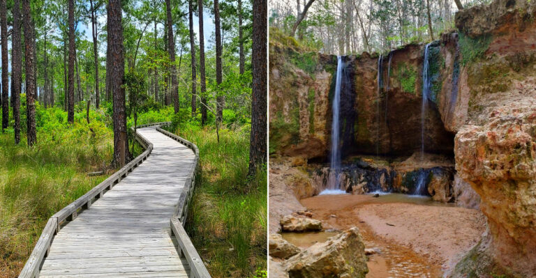 8 Mississippi Nature Trails That Feel Like A Secret 2026 Getaway