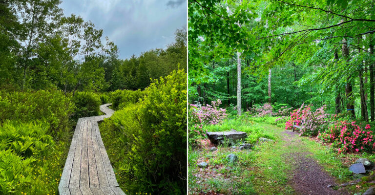 This New York Arboretum Hides 200 Acres Of Cold-Hardy Trees With Seriously Jaw-Dropping Views