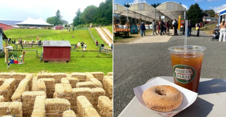 This Maryland Harvest Festival Has Endless Apple Cider And A Loyal Local Following