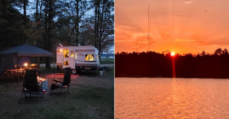 This Michigan State Park Is A Prime Spot To Hear Wild Elk Bugling In The Fall