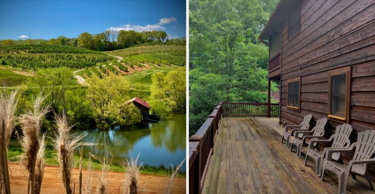 This North Georgia Mountain Town’s Cabins Book Solid Every Fall For Leaf-Peeping Season