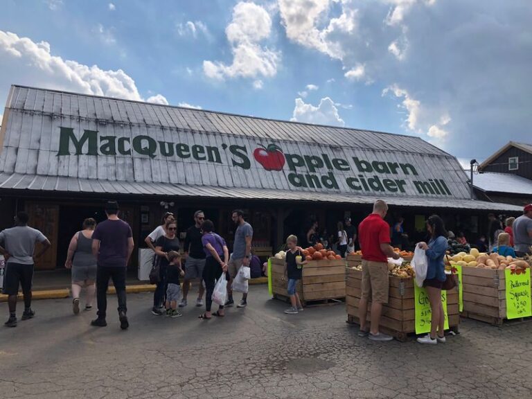 6 Ohio Cider Mills Where Kids Eat The Doughnuts