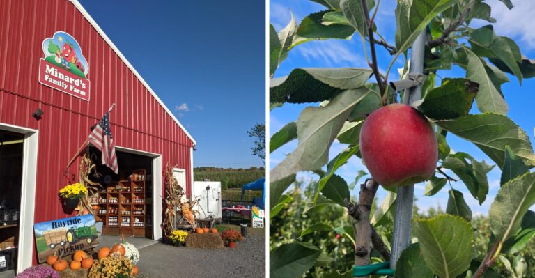 This New York Apple Orchard Was Just Voted One Of The Best In America