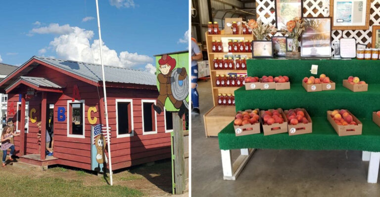 The 7 Mississippi Farm Markets Where You Can Fill A Bag For Under $20 This Fall