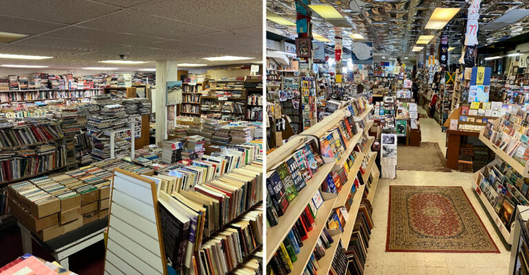 This Upstate New York Bookstore Holds Thousands Of Books With Cats Keeping Watch Over The Shelves