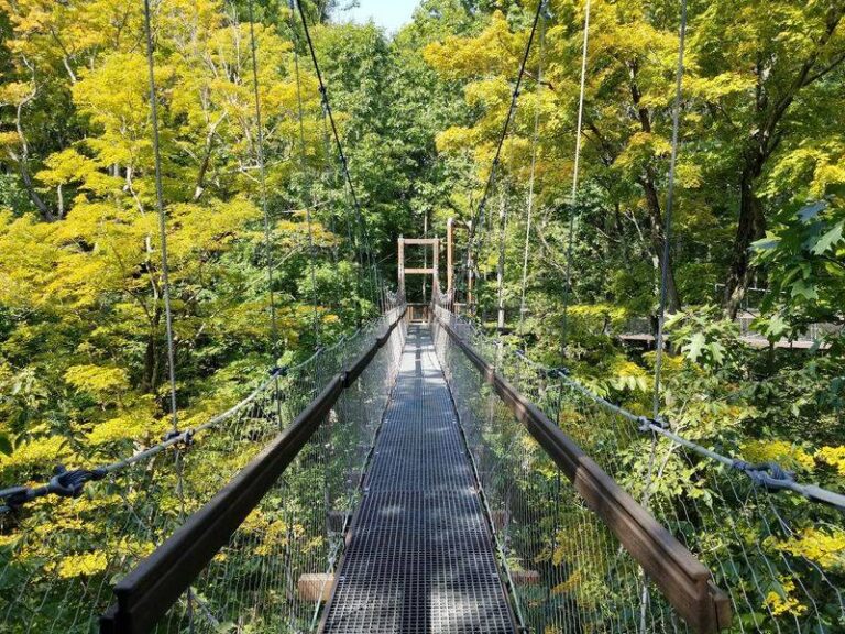 Walk 65 Feet Above The Forest Floor On A Canopy Bridge In Kirtland, Ohio