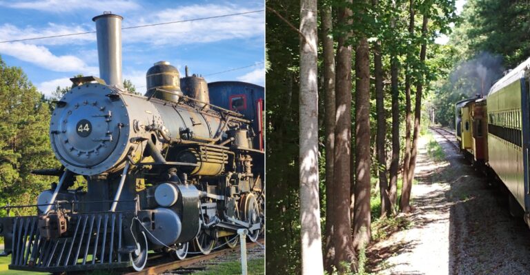 The Historic South Carolina Train Ride That Takes You Through Stunning Early Fall Scenery