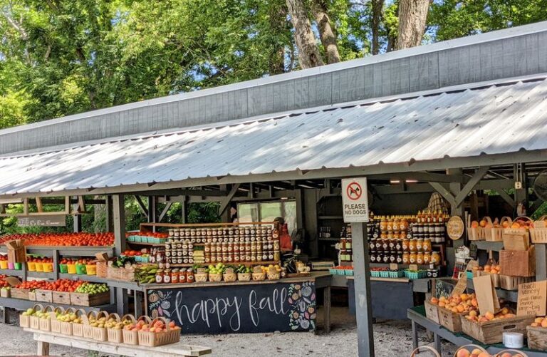 Every Tennessee Town Swears Its Fall Attraction Wins, So We Picked 9 Worth The Drive