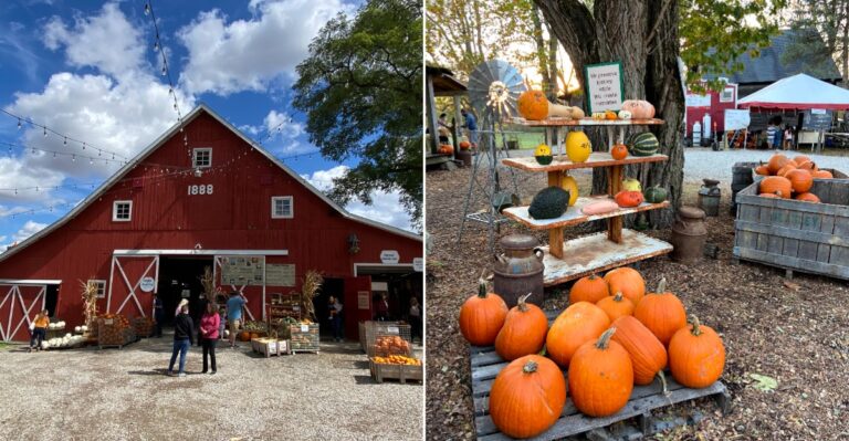 Hayrides, Giant Slides And A Pumpkin Patch Make Fall Unforgettable At This Indiana Farm