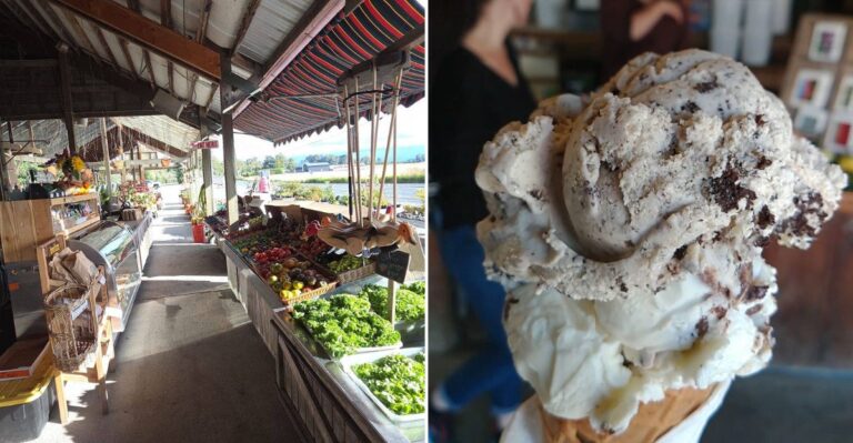 Washington’s Massive Farm Destination For Homemade Ice Cream And Incredible Mountain Scenery