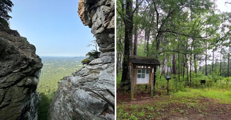 9 North Carolina Hiking Trails Locals Avoid In October Because The Snakes Are Too Active