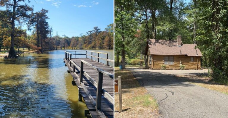 The Mississippi State Park That’s Perfect For Stargazing Under A Dark Sky