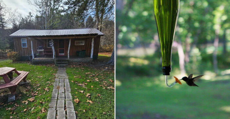 Travelers Keep Returning To This Remote Pennsylvania Cabin With No Cell Service For A Quiet Weekend Getaway