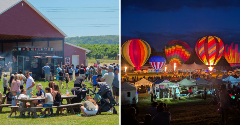 The 9 Massive New York Harvest Festivals And Farms Where Over 300 Vendors And Giant Pumpkins Fill The Fields