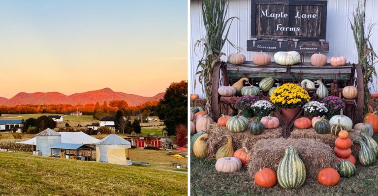 9 Fall Harvest Festivals In Tennessee That Belong On Your Bucket List