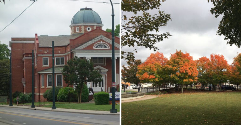 These Tennessee Towns Have Reported Black Bear Sightings In 2026