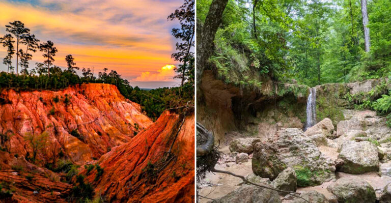 The Easygoing Mississippi Walks Through Scenic Ruins And Salt Marshes That Feel Like A Whole Adventure