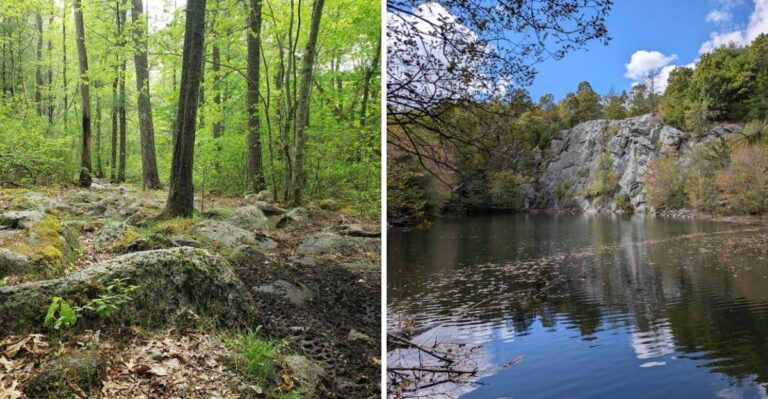This Gorgeous Massachusetts State Forest Has A Haunted Reputation That Gets Creepier After Dark