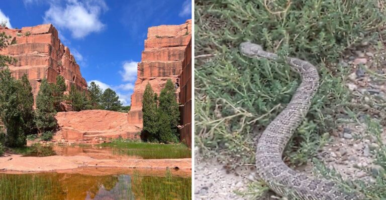 10 Colorado Hiking Trails Locals Skip In September Due To Active Snakes