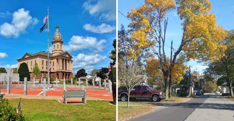 10 Massachusetts Towns Where Black Bears Have Been Spotted In 2026