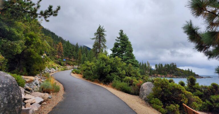 The 8 Nevada Spots Where Golden Aspens Light Up The Mountains This Fall