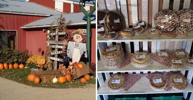 This Michigan Orchard Draws Visitors Back For Its Fresh-Baked Apple Turnovers