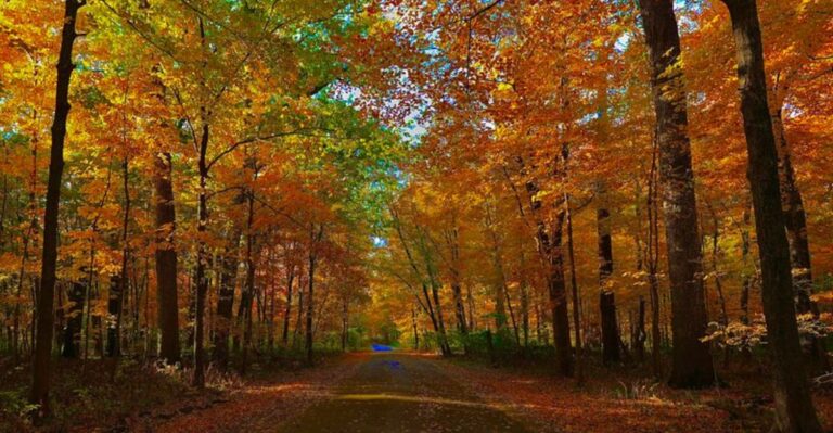 Mid-October Brings Peak Color, And These 7 Short Illinois Trails Suit Little Legs