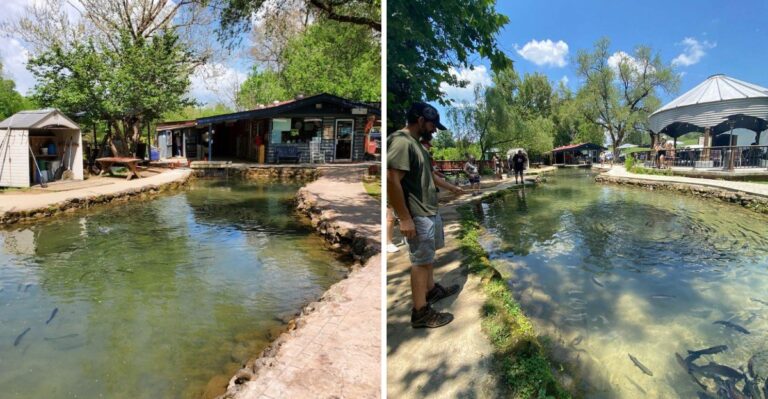 This Tennessee Trout Farm Cooks Whatever Your Kids Catch And Serves It Minutes Later