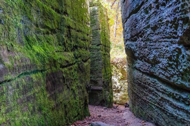 The Illinois State Park Where Kids Squeeze Between Sandstone Walls, Then Split Family-Style Fried Chicken