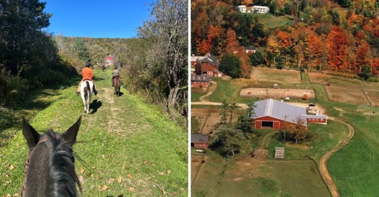 This Massachusetts Horseback Tour Crosses A Brook And Winds Through Forest With Berkshire Mountain Views