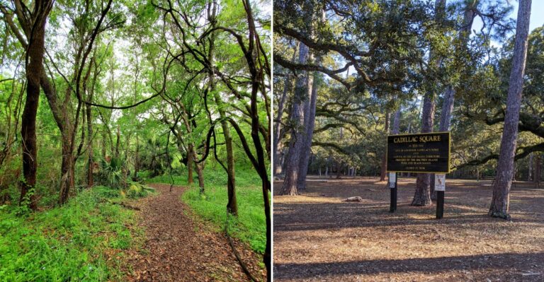 This Easy Dauphin Island, Alabama Guide Highlights 8 Scenic Spots Most People Never Find On Vacation