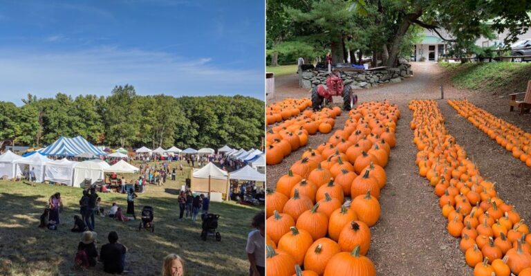 9 Fall Harvest Festivals In Massachusetts That Belong On Your Bucket List