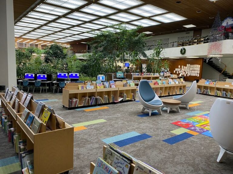 This Reno Library Sale Shelf Lets Kids Fill A Whole Tote For A Few Quarters