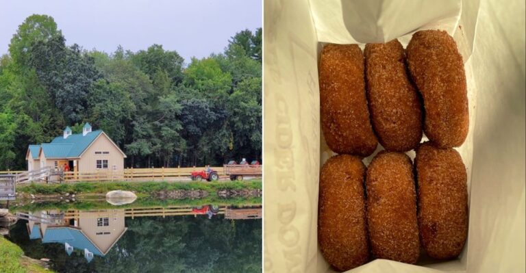 This Massachusetts Apple Orchard Has Generations Of Fans Coming Back For Cider Donuts
