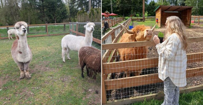 More Washington Families Are Choosing This Animal Sanctuary Instead Of The Zoo