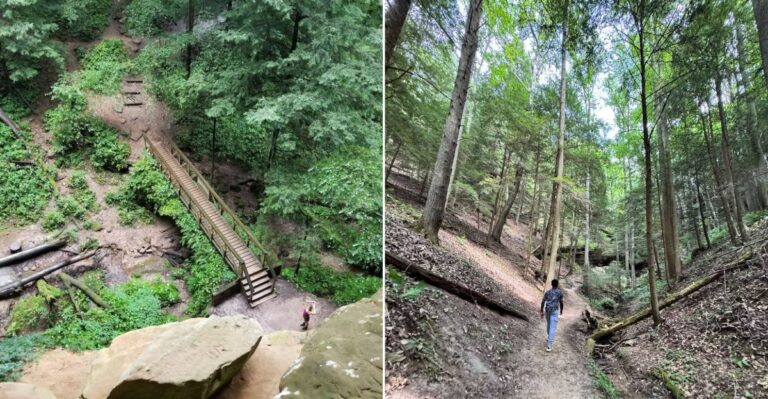 9 Ohio Hiking Trails Hikers Should Know About During Black Bear Season
