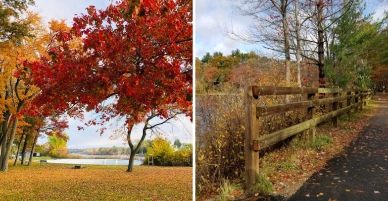 9 Peaceful Massachusetts Nature Walks With Beautiful Fall Foliage And Easy Trails