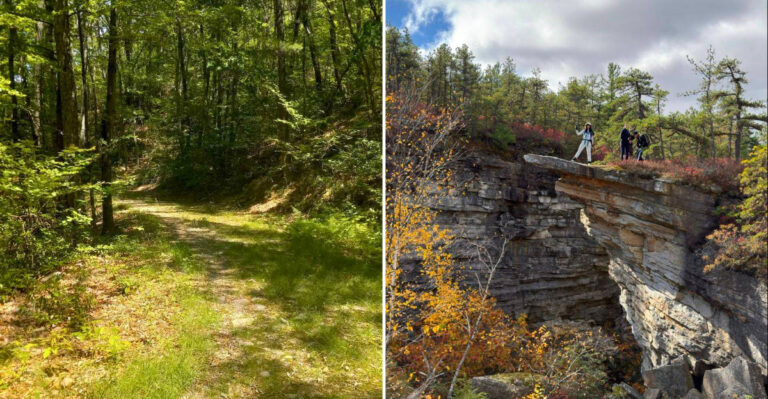This New York Spot Is A Must-Visit For Local Rock Hounds Who Love Digging For Free