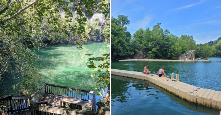 Freshwater Jellyfish Have Been Spotted In This Little-Known Tennessee Lake
