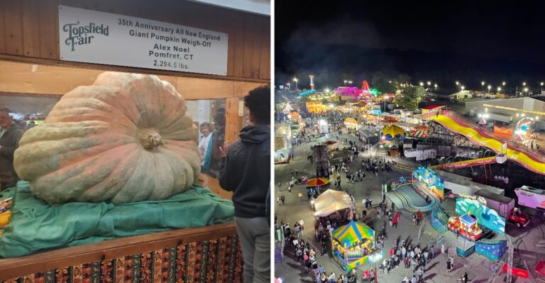 This Massive Massachusetts Fall Fair Has Nearly 300 Vendors And A Giant Pumpkin Weigh Off