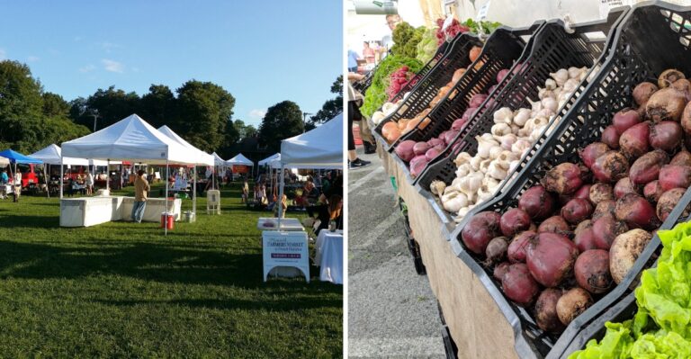 10 Massachusetts Farmers Markets Brimming With Fall Harvests And Happy Crowds