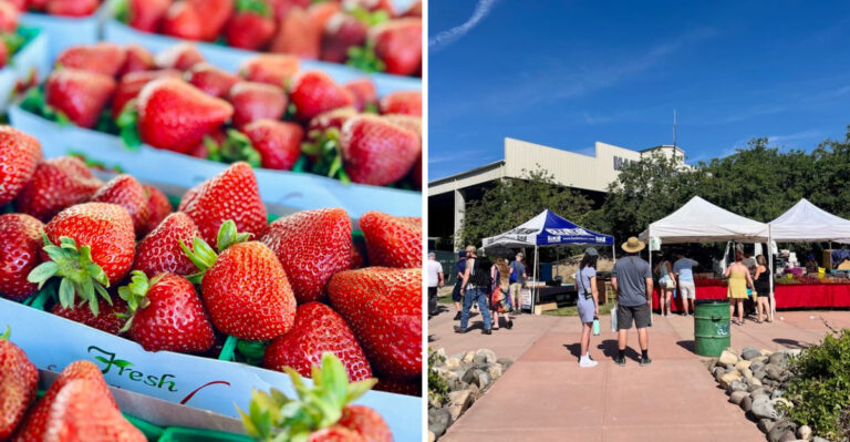 This Rustic Farm Stand Near Fallon Overflows With Homegrown Treasures Every Late Summer