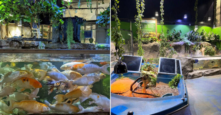 This Texas Aquarium Is A Hidden Gem For Families Who Want Something Different From Theme Parks