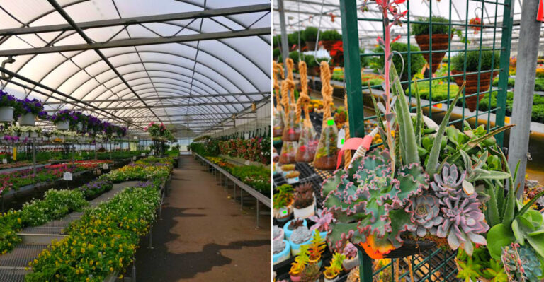 The New York Garden Market Where You Can Walk Through 70 Greenhouses In One Afternoon