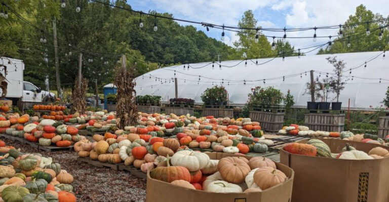 This Rustic Tennessee Farm Stand Is Piled High With Squash And Pumpkins Every September