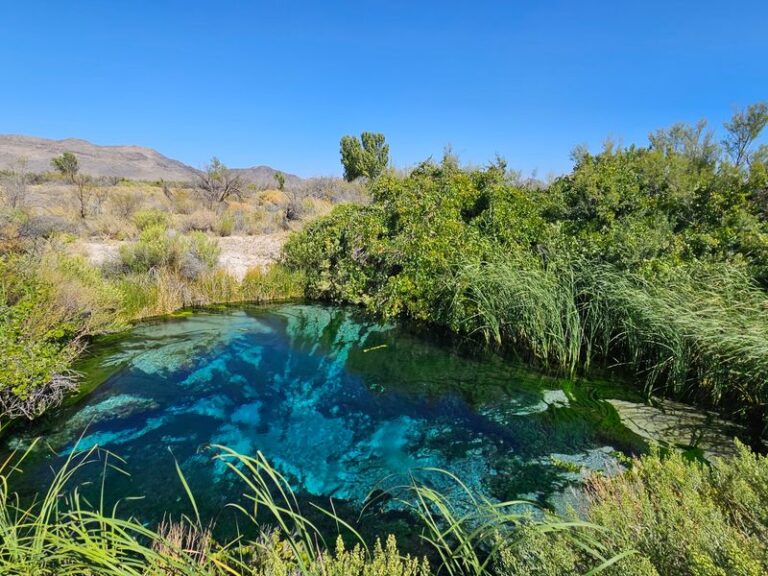 This Free Nevada Wildlife Refuge Near Las Vegas Puts Spring-Fed Ponds And Desert Birds Within An Easy Morning
