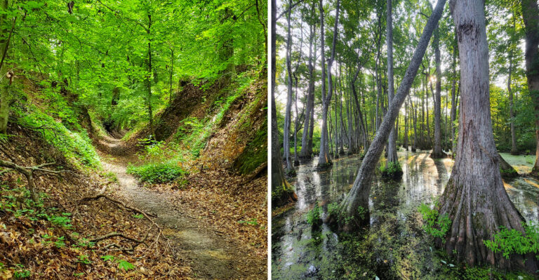 Seven Free Stops Along The Natchez Trace In Mississippi Turn One Drive Into A Whole Day