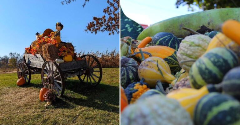 The Wisconsin Pumpkin Patch That Gives You More Than Pumpkins Every October