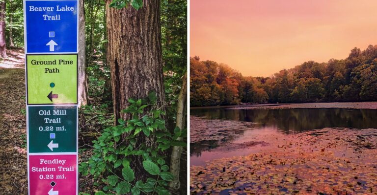 This Massive Virginia State Park Has A Native Snake Population So Locals Know To Watch Their Step